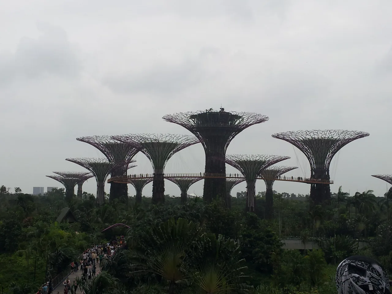 The iconic Supertree Grove and lush greenery at Gardens by the Bay in Singapore